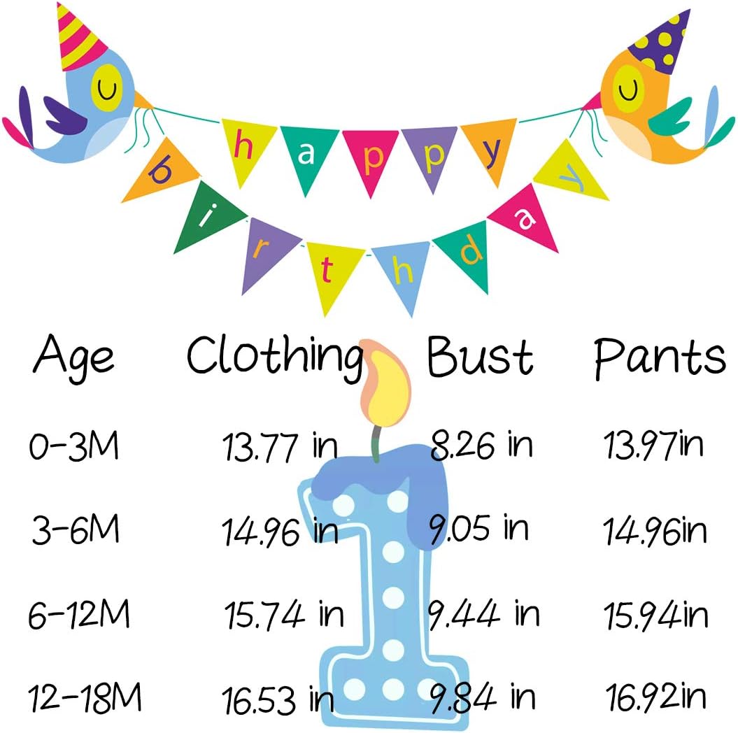 LENSOUS Baby First Birthday Outfit Boy Funny Bowtie One Year Old Boys Romper Bodysuit Set - Image 5