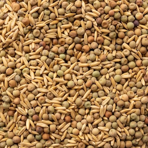 Mountain Valley Seed Co Oat and Peas Cover Crop Mix Seed 1 Lb ~6 960 Seeds