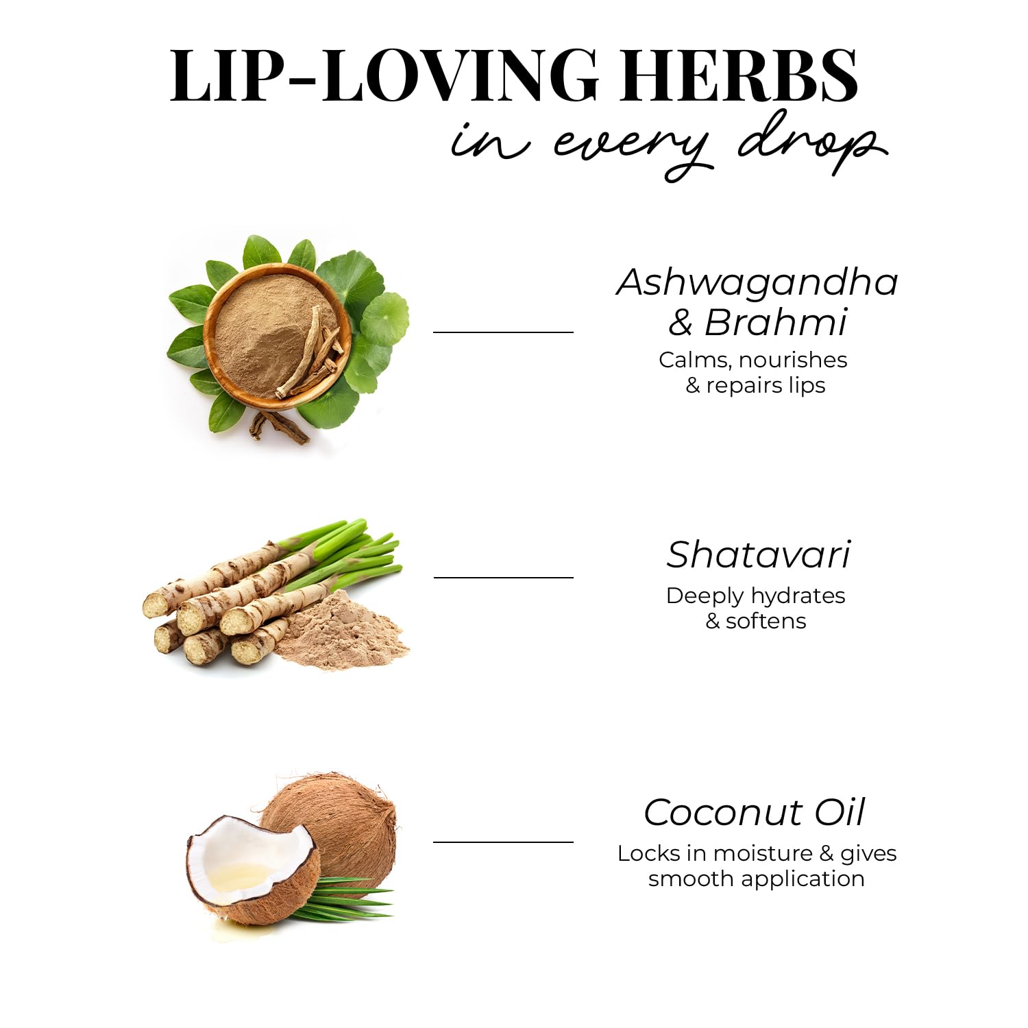 Just Herbs Herb Enriched Matte Liquid Lipstick | Set of 4 | Ayurvedic Lipstick for Women | Hydrating & Lightweight | Long Lasting (Brights & Pinks)