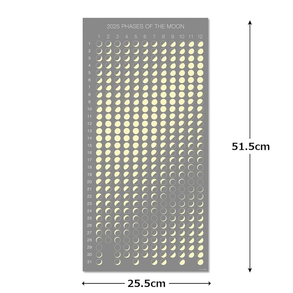 【未使用品】C105 TYPE MOON 2025 プレミアムカレンダー 未使用品】C105 TYPE MOON 2025 プレミアムカレンダー Yahoo