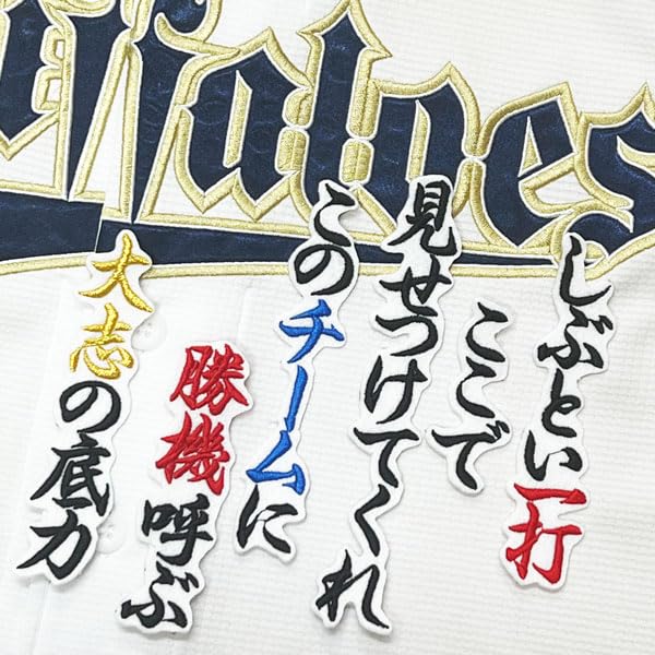 PAPAS パパス ワッペン ロゴ刺繍 シューティングベスト L 希少 程度良好 2025年最新】パパス ベストの商品一覧 - Yahoo!オークション