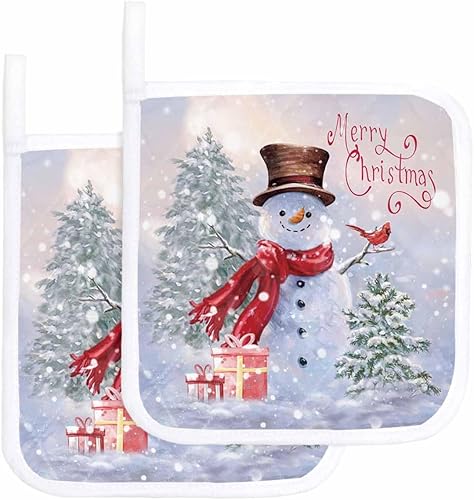 2 Packs Christma Pot Holders Sets for Kitchen,Oven Pan Plate Bowl Pads Heat Proof Mat with Hanging Loop,Thick Terry Cloth Potholders Soft Grip for
