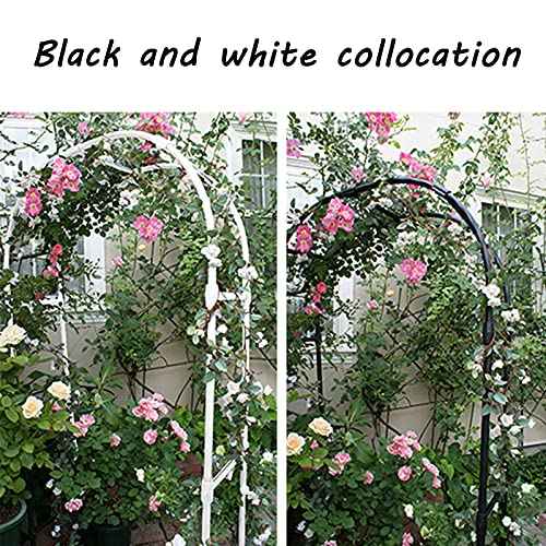 Support en treillis pour vignes et plantes grimpantes de jardin - 3