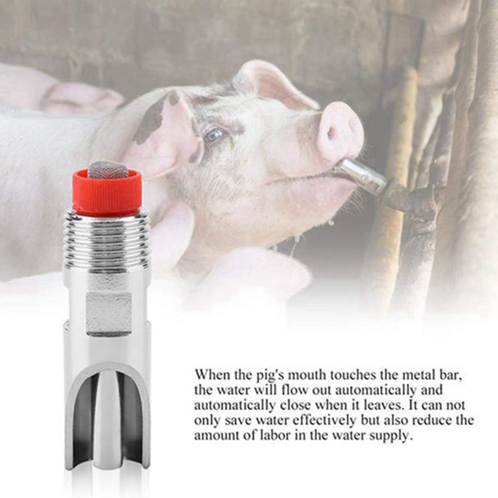 Daconovo Dispensador Automático Pezón de Cerdo Acero Inoxidable 20, Boquilla Automática, Pezón de Bebida