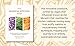 The Mindful Kitchen Map: The new system for ethical veganism and neurodiverse wellbeing