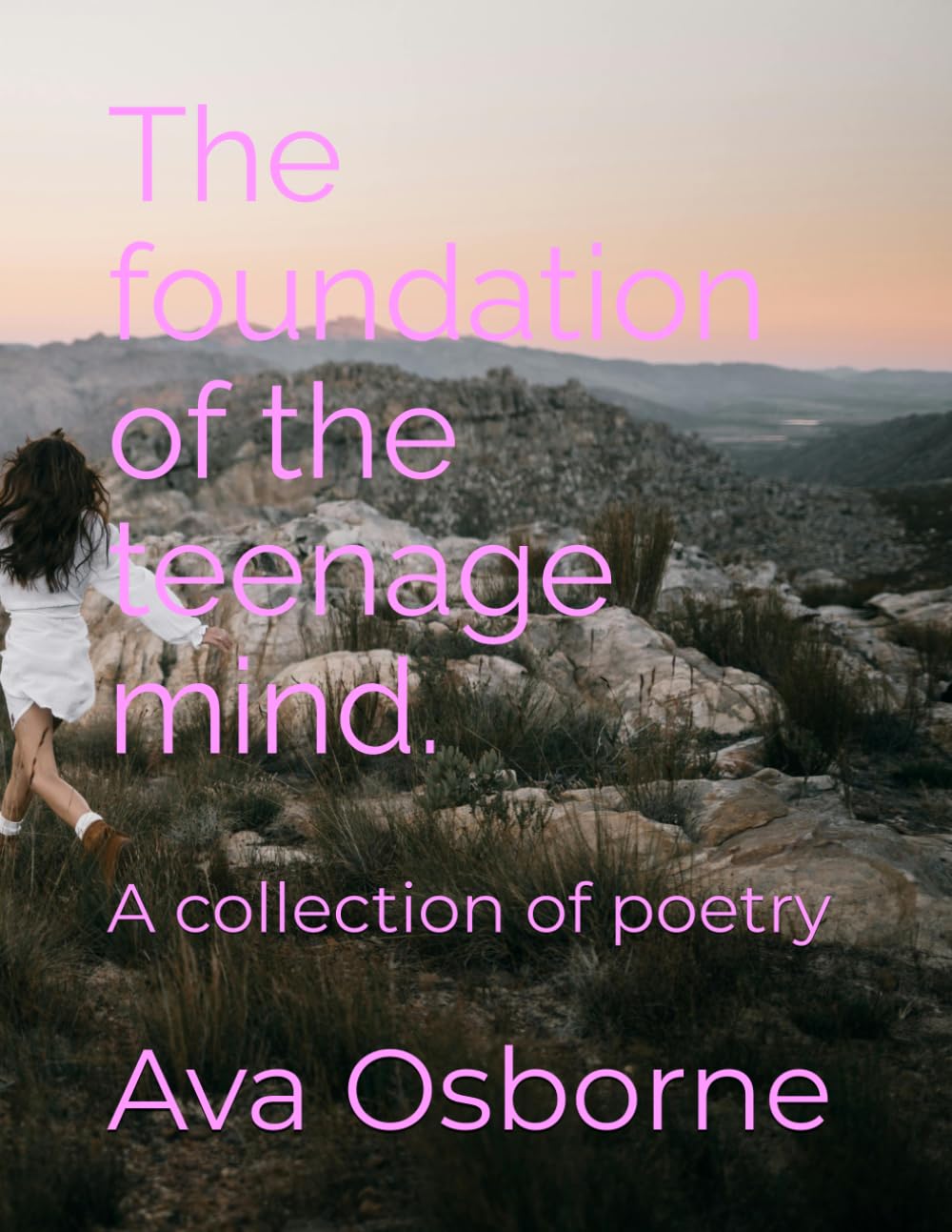 The foundation of the teenage mind.: A collection of poetry