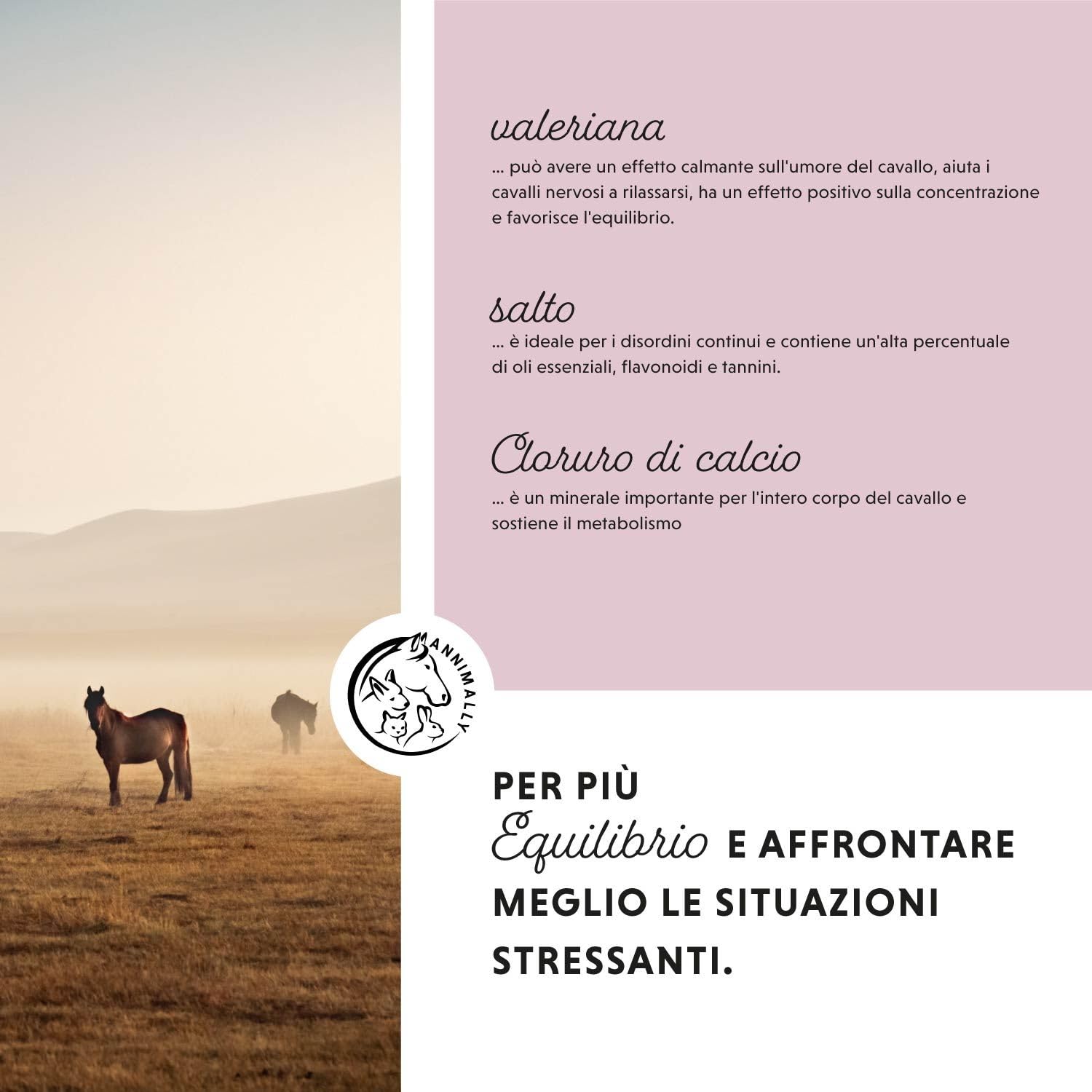Relax Liquid per cavalli 1000ml, succo calmante per cavalli con valeriana, luppolo, triptofan, B12, magnesio e calcio liquido - Contro l'ansia, lo stress e per il trasporto