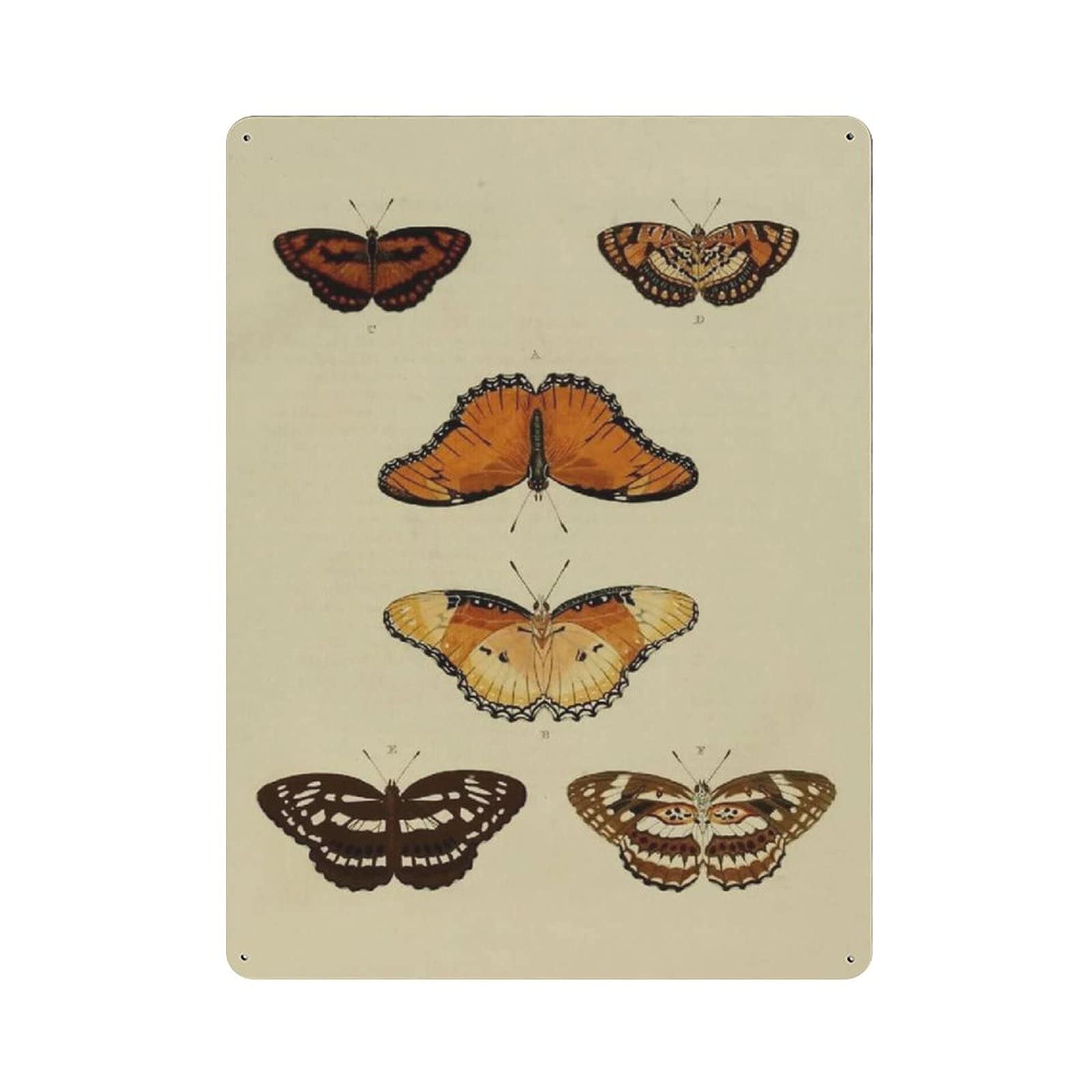 Metal Tin Sign Butterfly Vintage Vintage Tin Poster Metal Sign Wall Decoration Country Kitchen Home Garage Decor 16"x12"