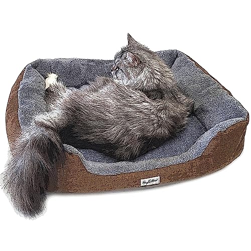 Heykitten Ultra Soft Cat Cushion Bed With Odor Removing Charcoal Bags For Indoor Kittens, Puppies (Brown, Large) #TOP1