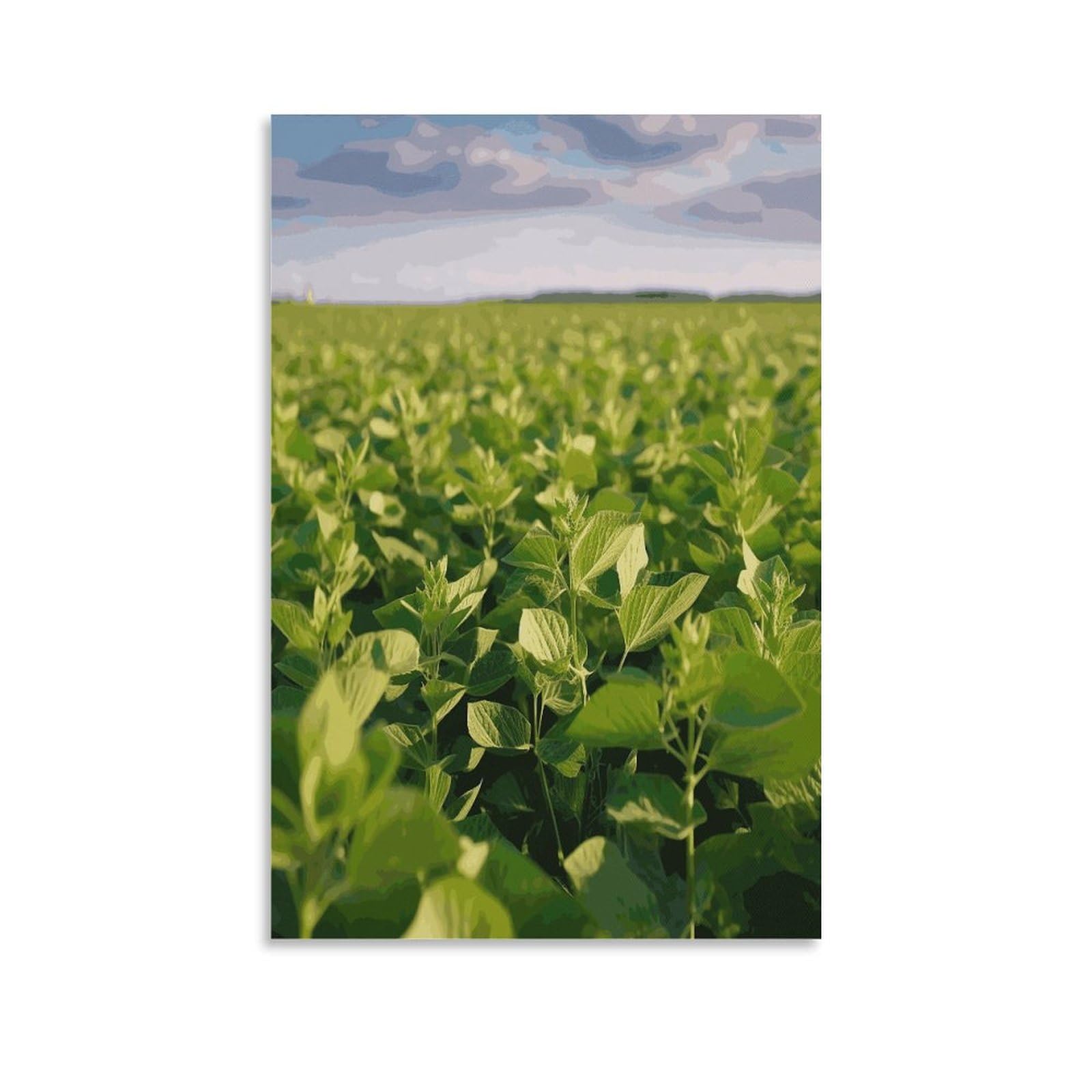 LDGSUPH Soybean Field Canvas Wall Art Prints Hangable Decor Painting for Wall Prints Painting Artwork Modern Decorative Artwork Ready to Hang Wall Pictures for Home Decor 20x30inch(50x75cm)