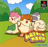 ハムスターのお出かけ