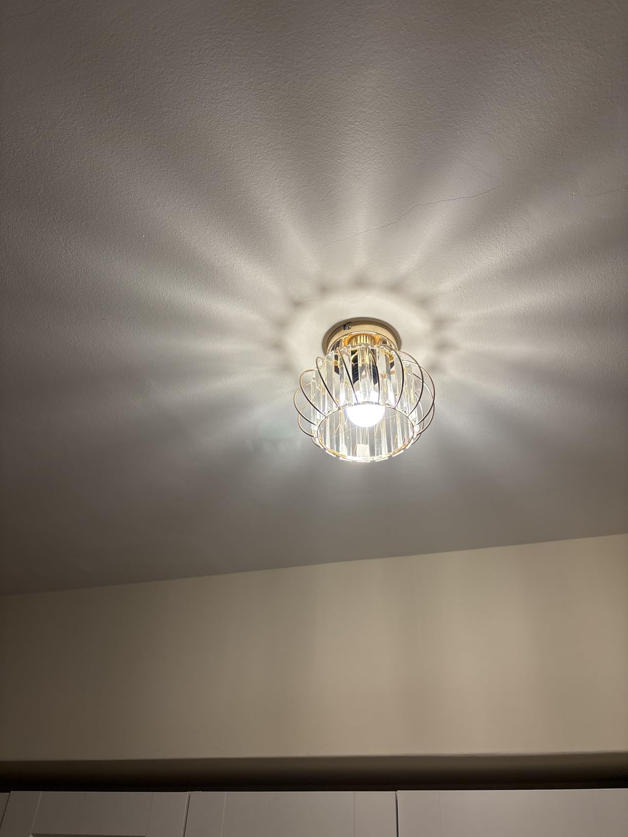 Customer photo