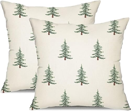 DFXSZ Juego de 2 fundas de almohada de Navidad de 18 x 18 pulgadas, fundas decorativas de invierno para el hogar, sofá, 30 unidades