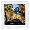 3dRose Road Through the Autumn Colors of Aspen Trees in the June Lake Loop. 6x6 inch Quilt Square #1
