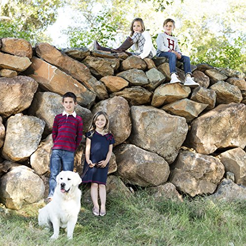 Image of Hope & Henry Girls' Ponte Riding Pants
