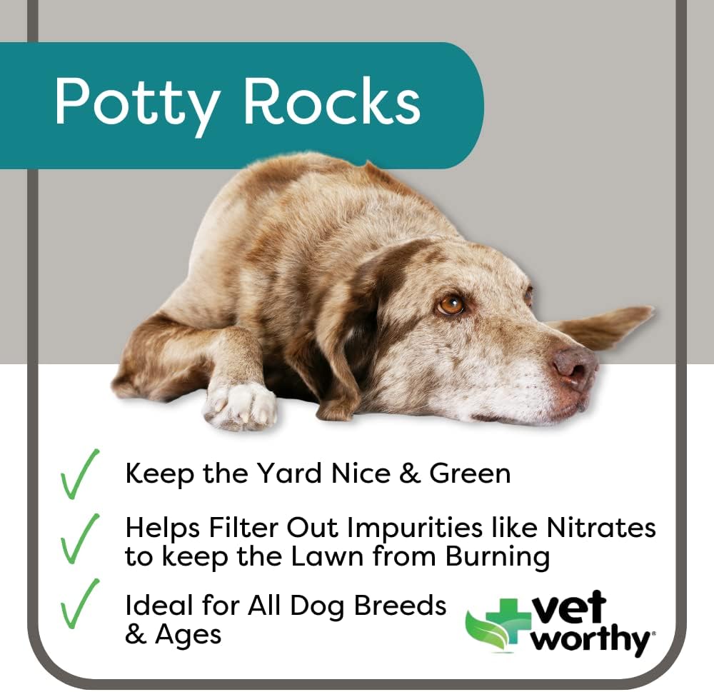 Vet Worthy Potty Rocks for Dogs (200 grams) BigaMart