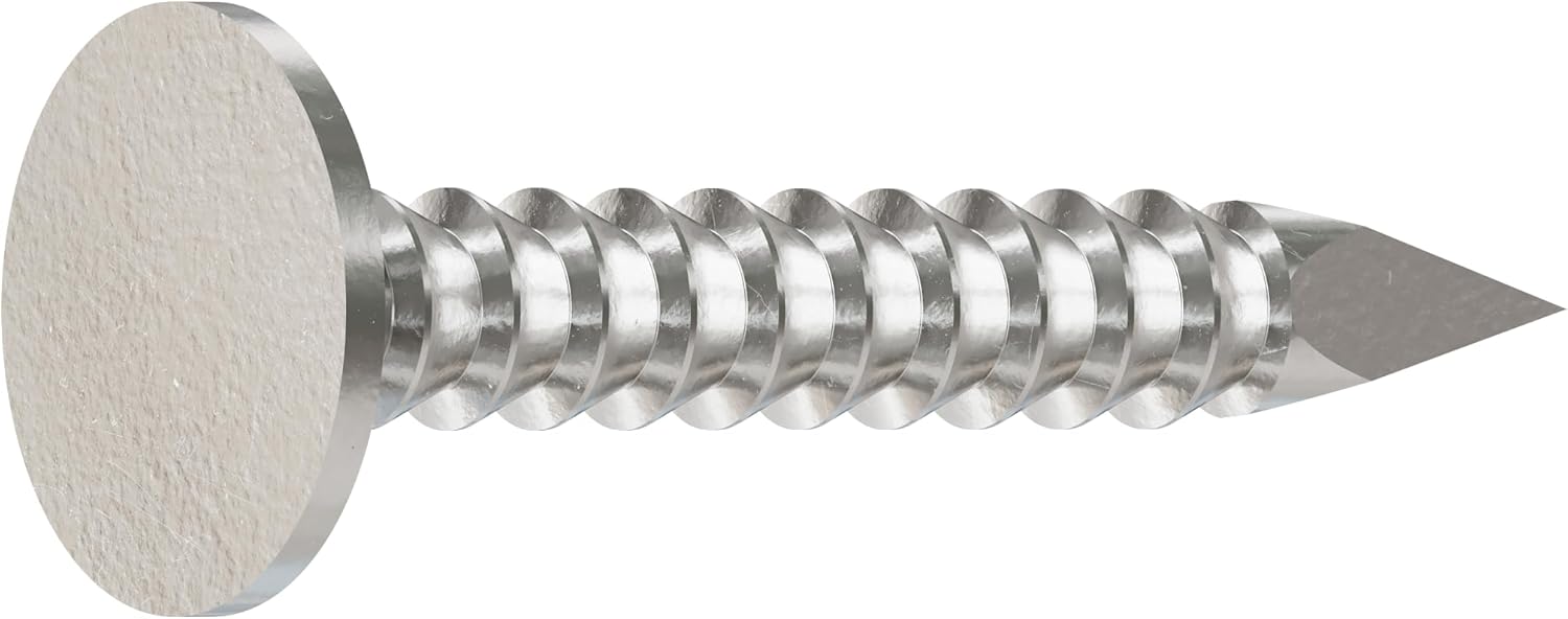 Simpson Strong Tie T210ARN1 2D Roofing Tile and Slating Nails 1-Inch and 10-Gauge, Ring Shank 316 Stainless Steel, 1-Pound, 212 Nails