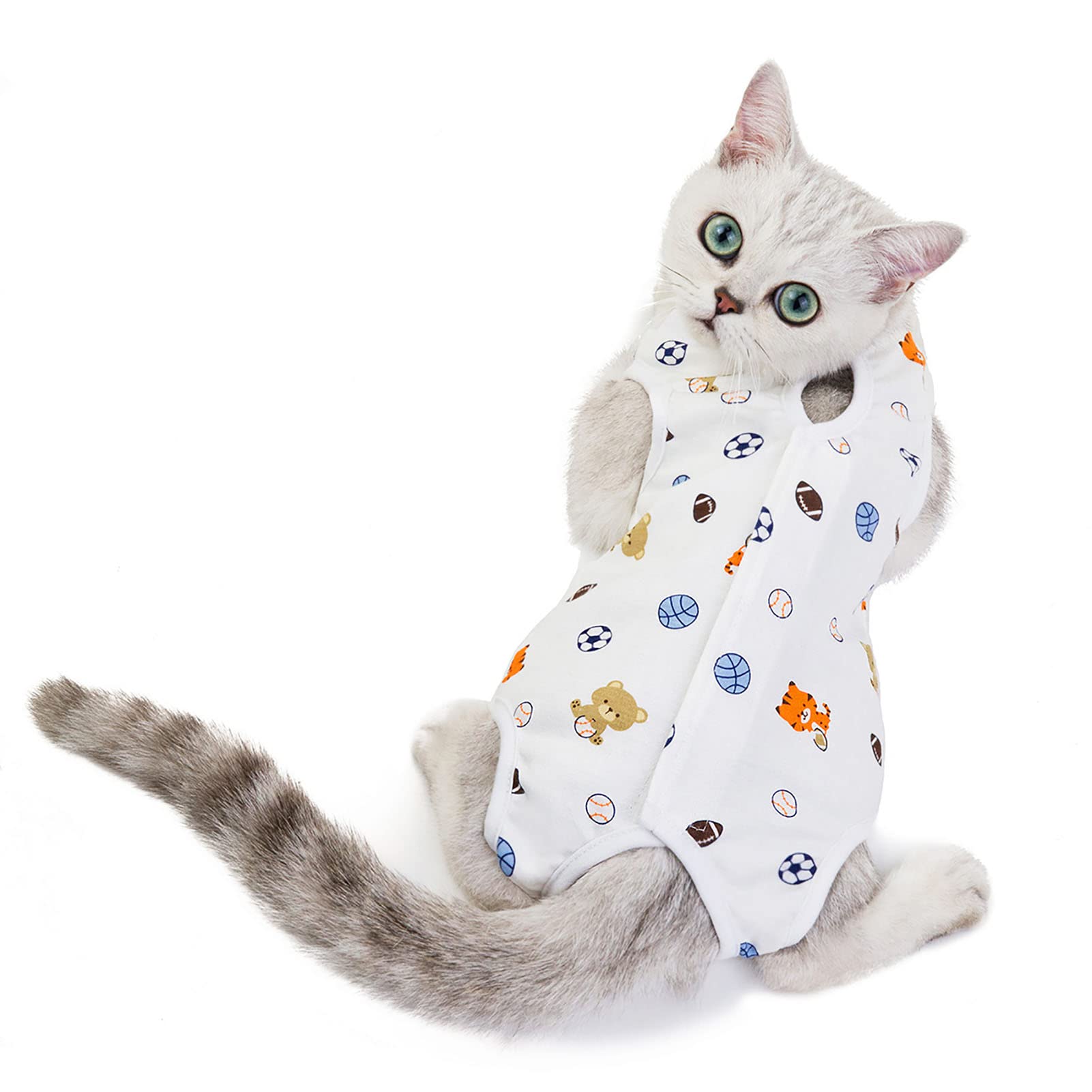 Combinaison de récupération pour chat pour éviter le léchage des plaies après opération L
