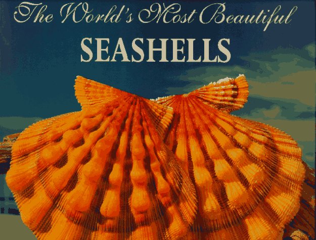 The World's Most Beautiful Seashells