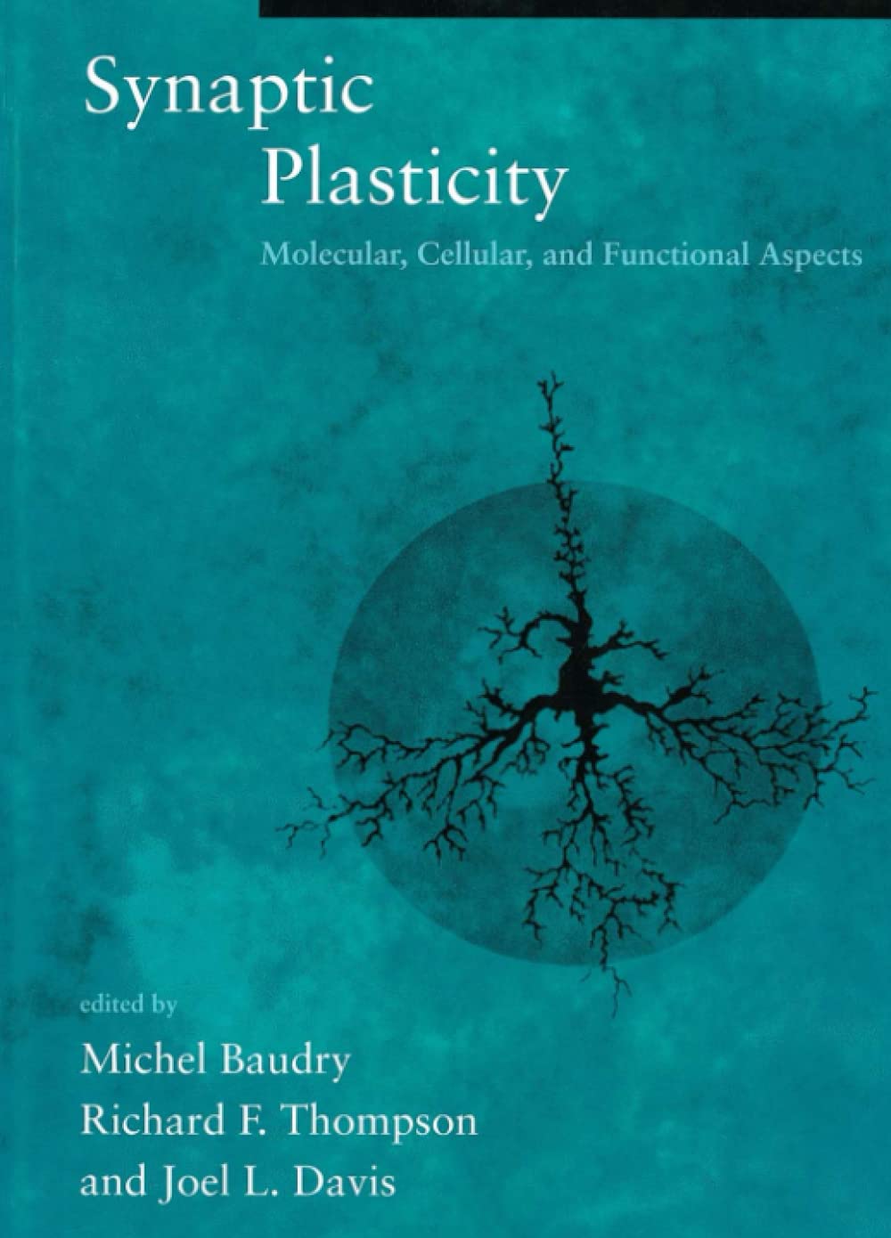 Synaptic Plasticity: Molecular, Cellular, and Functional Aspects