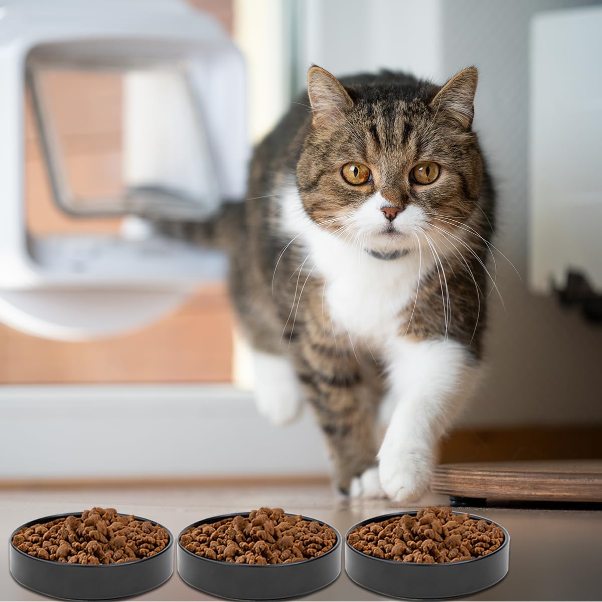 TRIXIE Ciotola In Ceramica Per Gatti Be Nordic - Design Moderno, Antiscivolo, 300 Ml, Colore Tortora Per Cuccioli - Foto 3