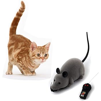 remote control mouse toy