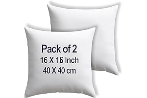 Rajsee 16X16 Pillow Forms