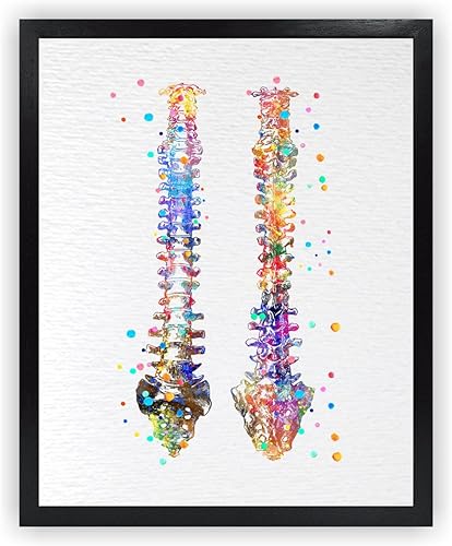 Dignovel Studios 11X14 sin marco de la columna vertebral humana anatomía ósea médico médico acuarela arte impresión cartel inauguración casa giclée