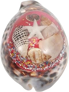 Concha de aquário arte soprada à mão estatueta de vidro concha natural escolhida à mão presentes de casa de praia enchimento de vaso de oceano para aquário de praia cor aleatória