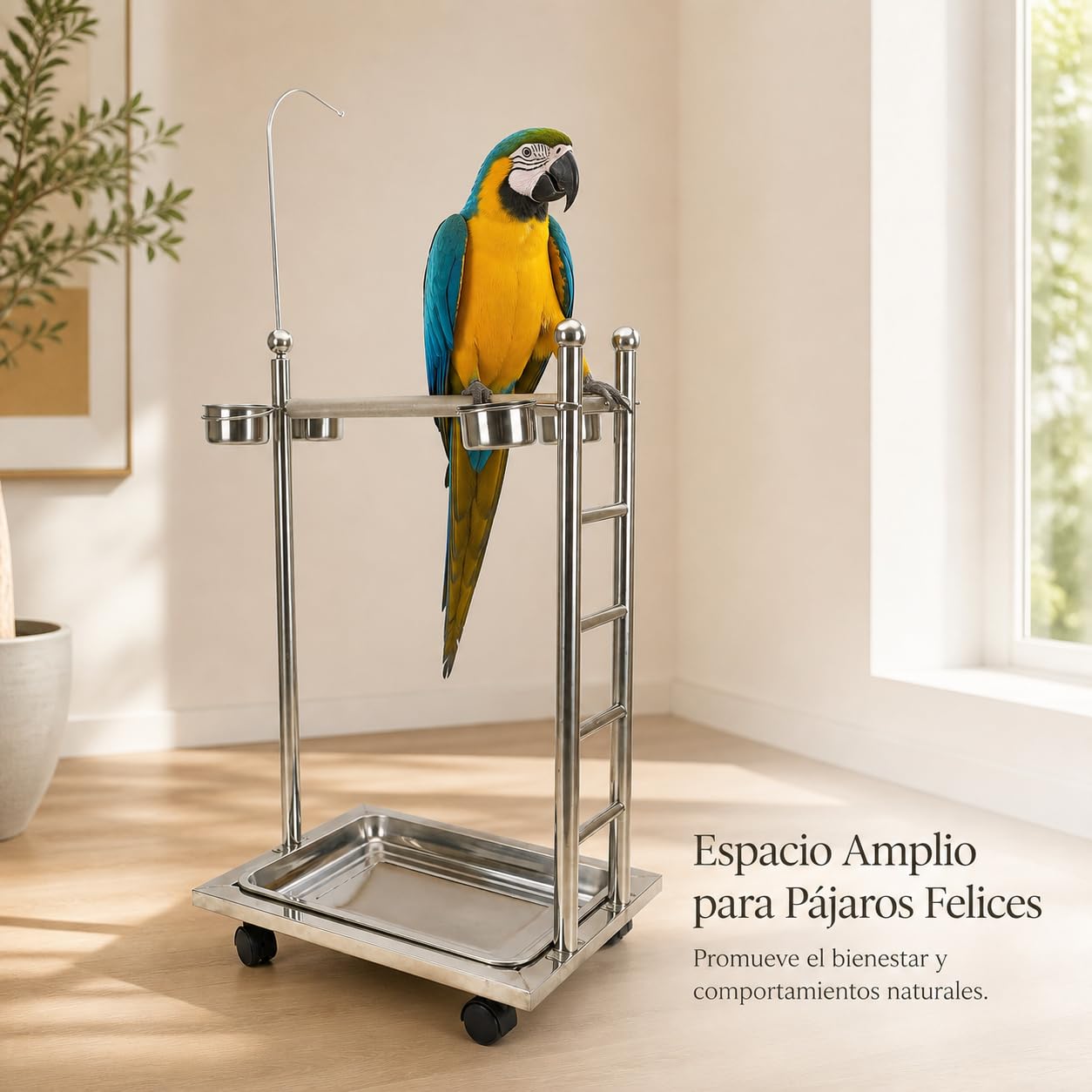 Supporto per Uccelli Regolabile, 1.9 diametro bastone | Assemblag facile, Supporto per pappagalli, Esposizione domestica, Per appassionati ornitologia