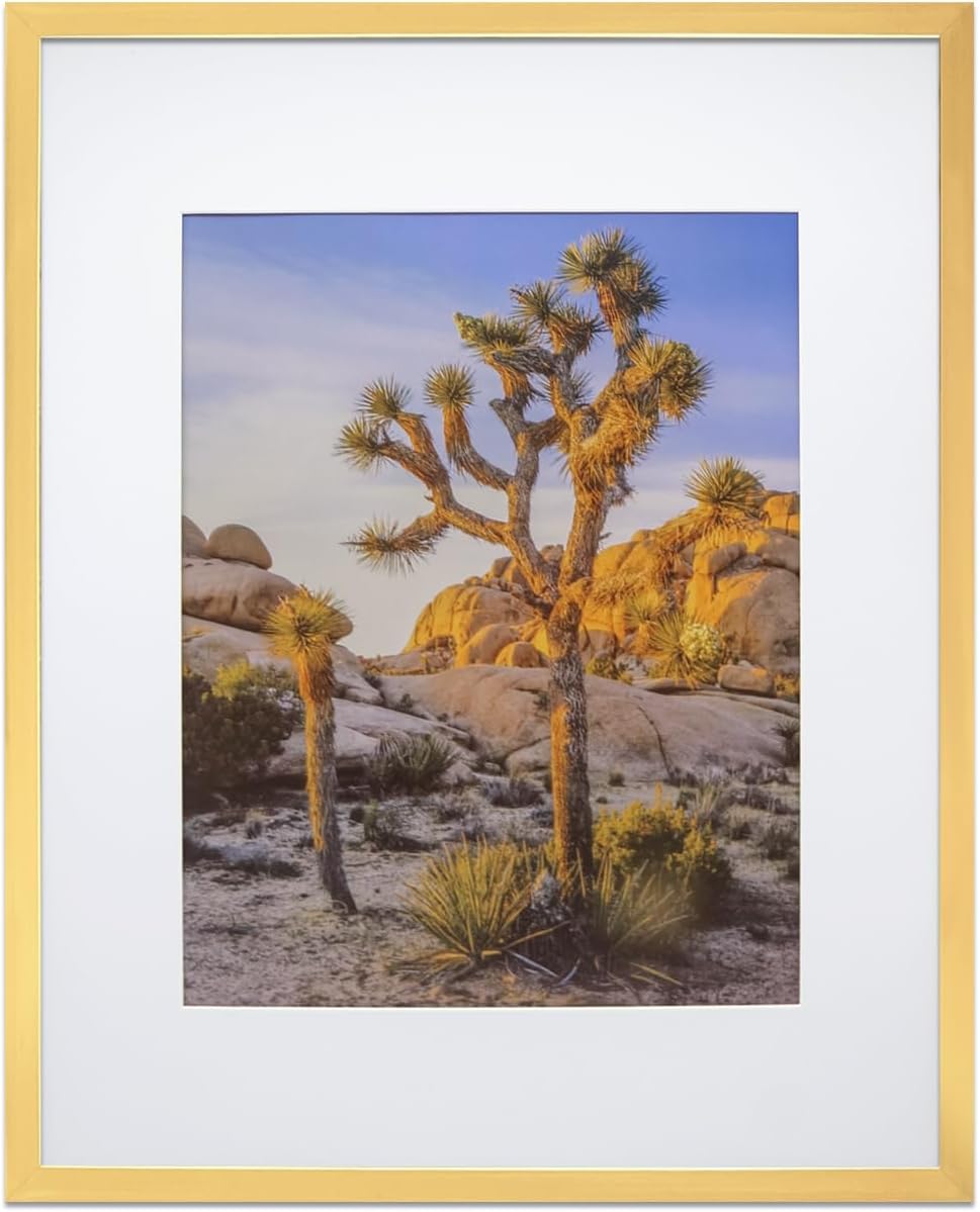 Art Emotion Black 18x24 Picture Frame – Fits 16x20 Photos with Mat or 18x24 Without Mat, Wall-Mount Poster Frame, 1-Pack