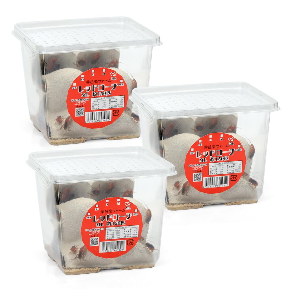 Amazon | レッドローチ MLサイズ 3カップ 爬虫類 大型魚 餌 エサ
