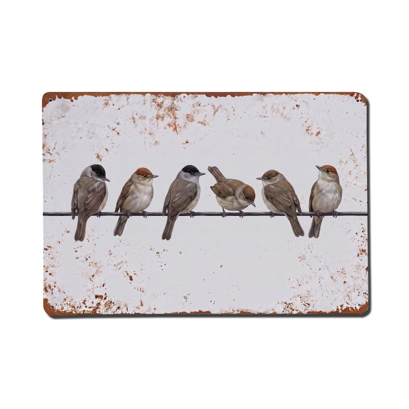 Vintage Retro Birds Blackcap Metal Tin Sign