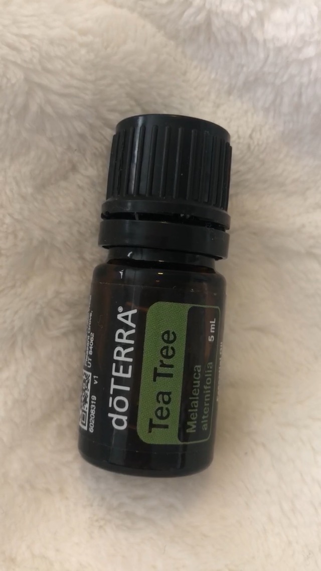 Watch Doterra Tea Tree ﹙Melaleuca﹚ Essential Oil Uses on Amazon Live