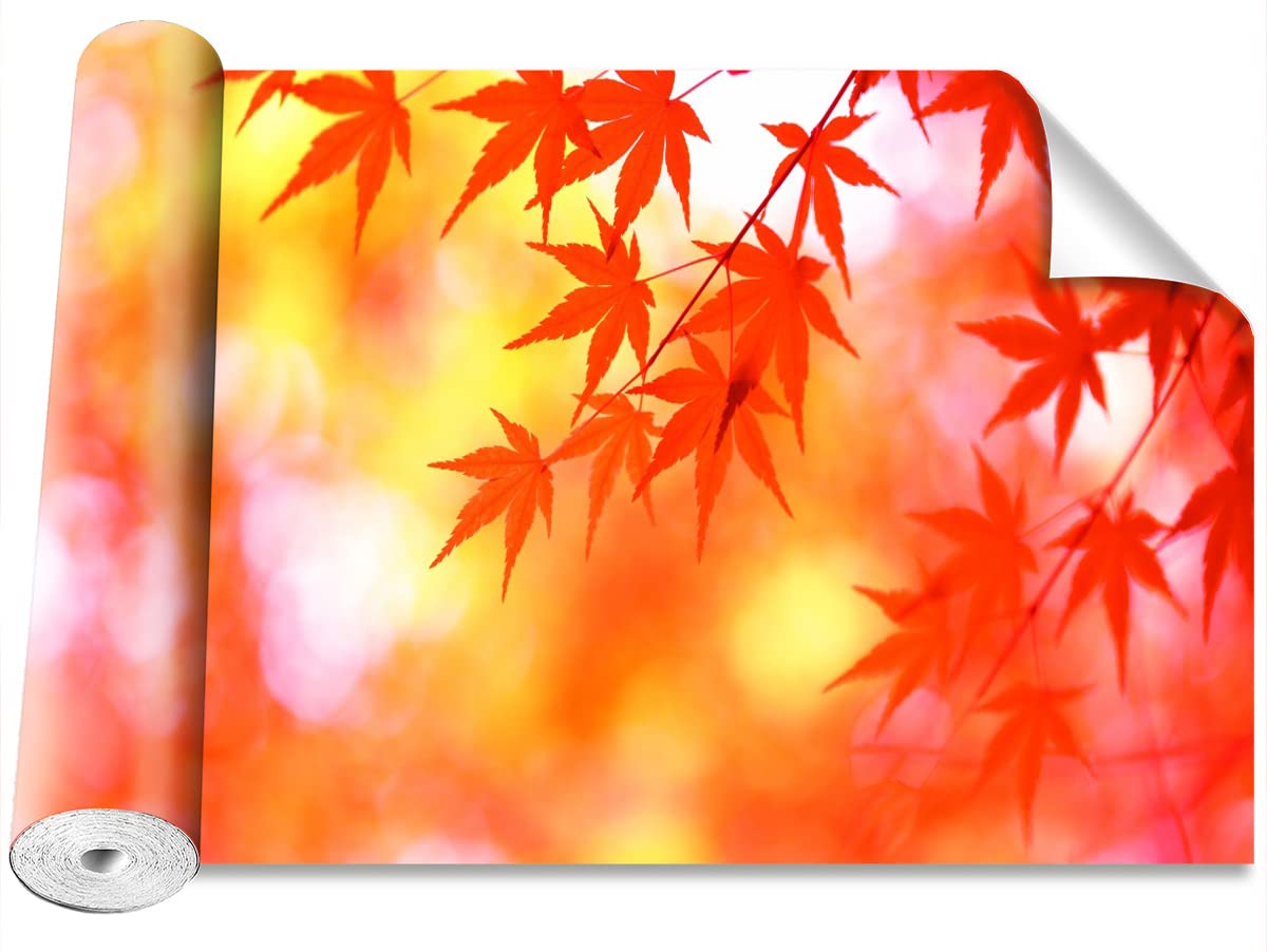 Papier peint moderne camouflage orange pour creer un mur d'accent dans le salon