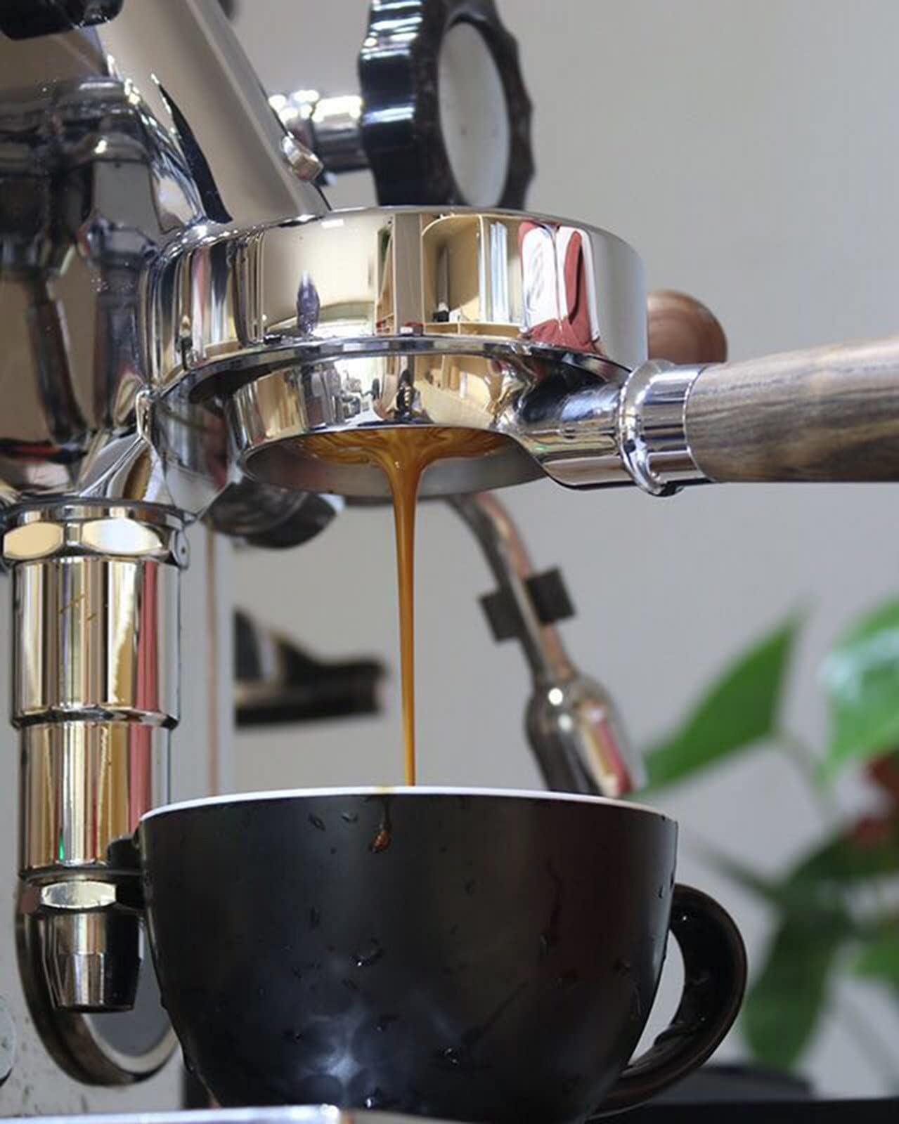 Amazon | エスプレッソマシンボトムレスポルタフィルターボトムレス