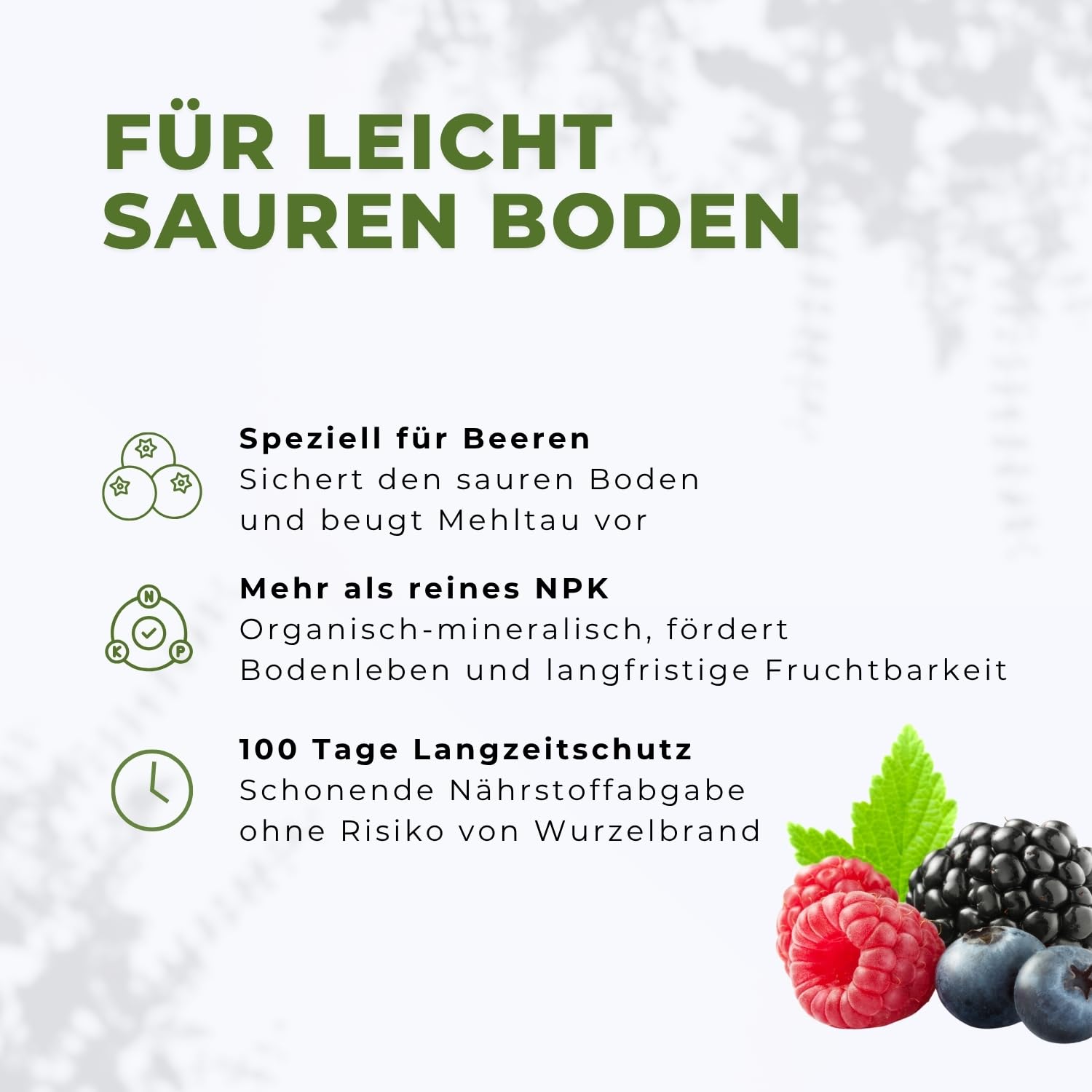 Flora Boost PRO Beeren Dünger mit Langzeitwirkung, 5KG Granulat