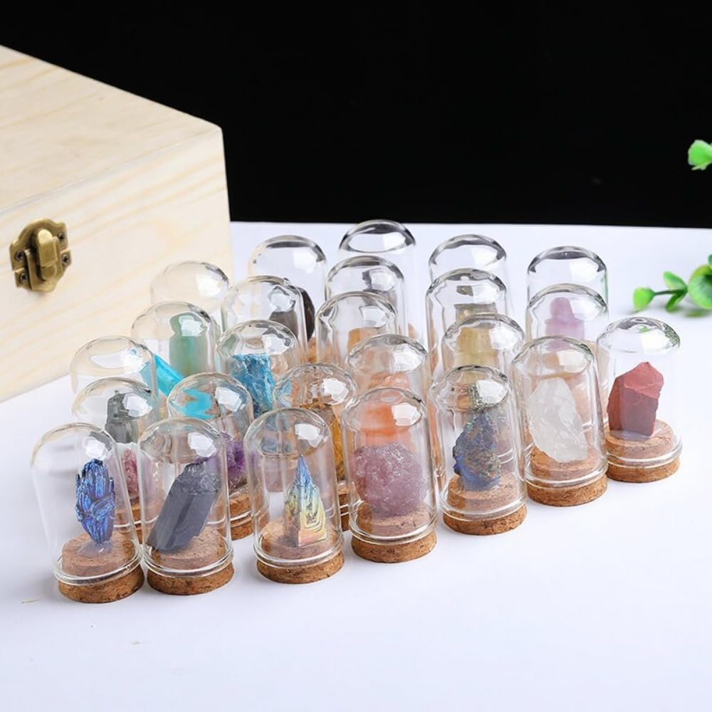 Amazon.co.jp: Apaeofl25個鉱石標本 鉱物標本 岩石標本 天然石