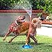WILD DOGS WATER TOYS - The Wave - The Ultimate Interactive Water Toy for Dogs