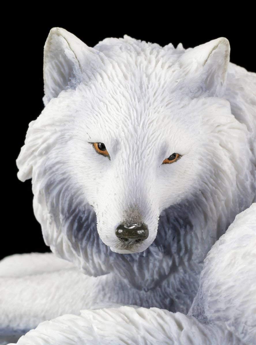 Lobo Figura - Guardian of The Norte de Lisa Parker Veronese Fantasía Estatua