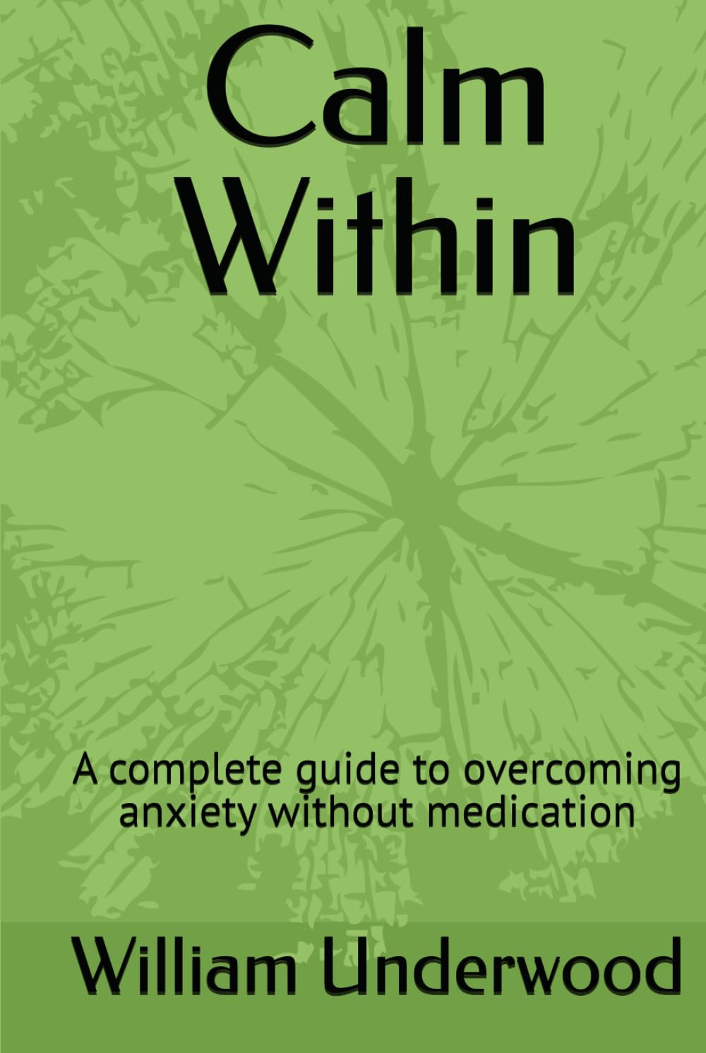 Calm Within: A complete guide to overcoming anxiety without medication
