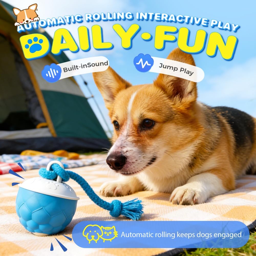 Interactive Dog Ball, Wicked Ball for Small and Large Dogs,Automatic Moving Dog Toy,Intelligent Electric Rolling Interactive Dog Toys with Bite-Resistant Teasing Rope (Mixed 2pcs)