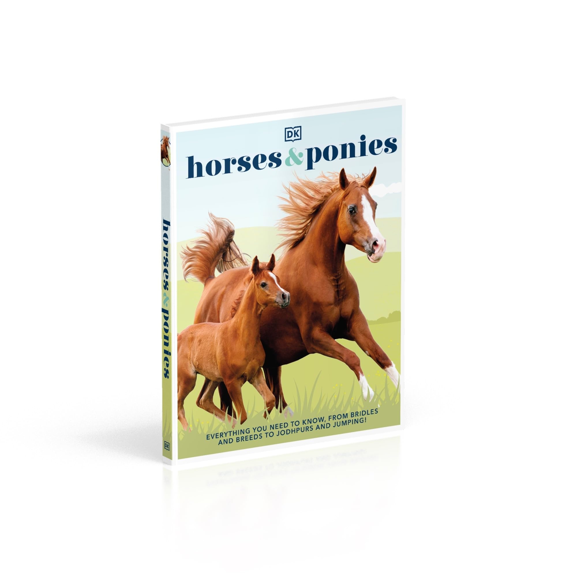 Horses & Ponies: Everything You Need to Know, From Bridles and Breeds to Jodhpurs and Jumping!