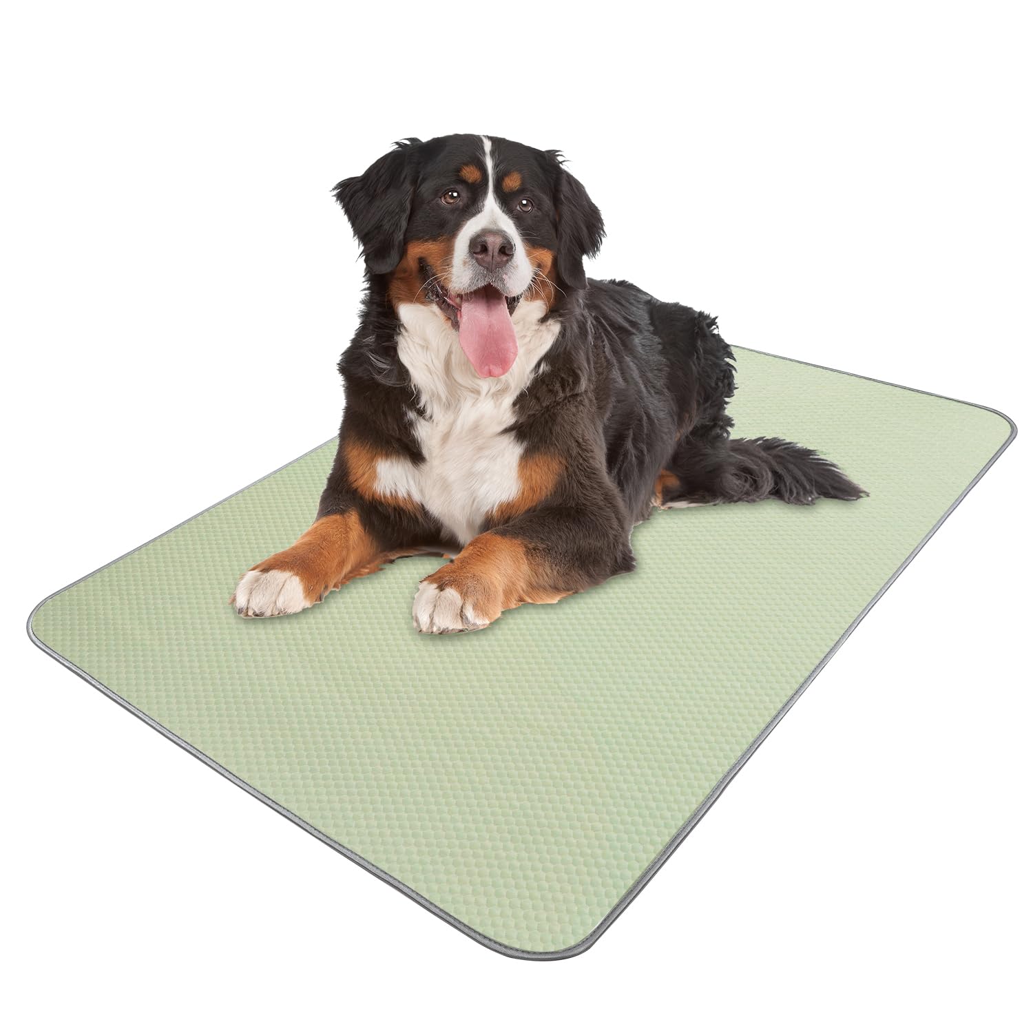 Buvlnee Summer Dog Cooling Mat Washable Ice Silk Self Cool Pad for Large Dogs and Cats, 59x40in Pet Sleeping Pad for Crate, Bed, Indoor & Outdoor
