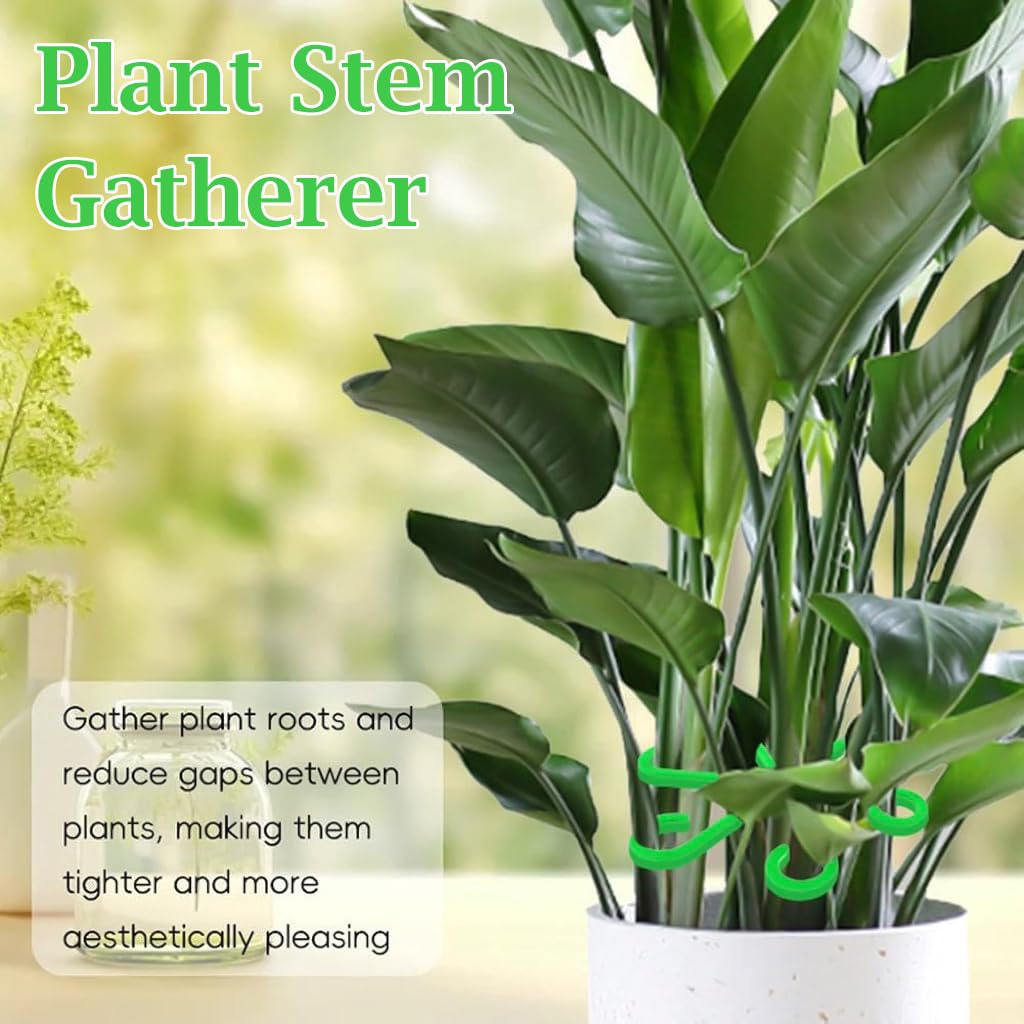 Plant Support Clips - 4 Pack for Climbing Plants -7