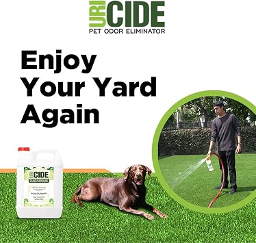Remove Pet Urine Smells from All Surfaces - Results!