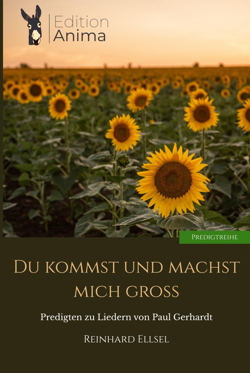 Du kommst und machst mich groß: Predigten zu Liedern von Paul Gerhardt (Predigtreihe)