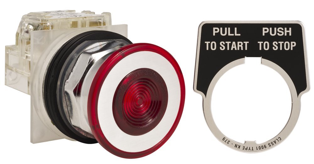 Schneider Electric 9001KR9RH13 Square D 2-Position Push Button