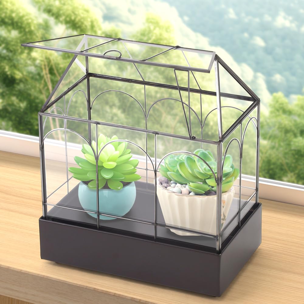 Amazon.co.jp: life_mart 卓上温室 【 ガラス 窓付き 小型 ミニ温室  