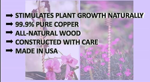 Miniatura 4 de Electrocutlure Grows - Juego de 5 estacas de electrocultivo de 18 pulgadas con espiral solar, estaca de madera natural envuelta con cobre sólido puro